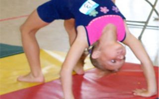 Чем отличается гимнастика от акробатики