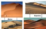 Чем отличаются барханы и дюны