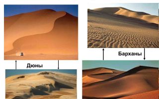 Чем отличаются барханы и дюны