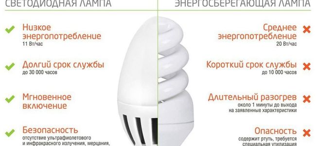 Чем отличается лампа накаливания от лампы люминесцентной