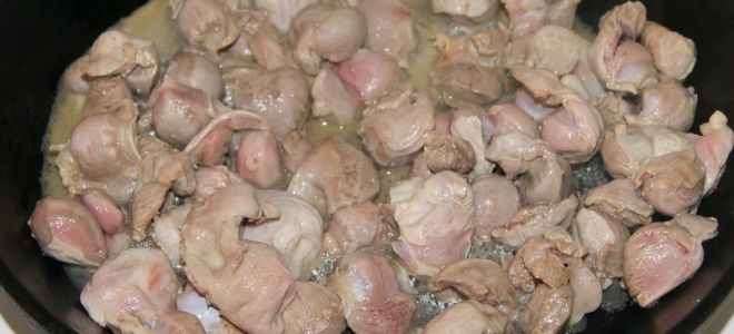 Как готовить куриные желудки?