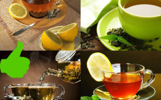 Чем отличается зеленый чай от белого чая