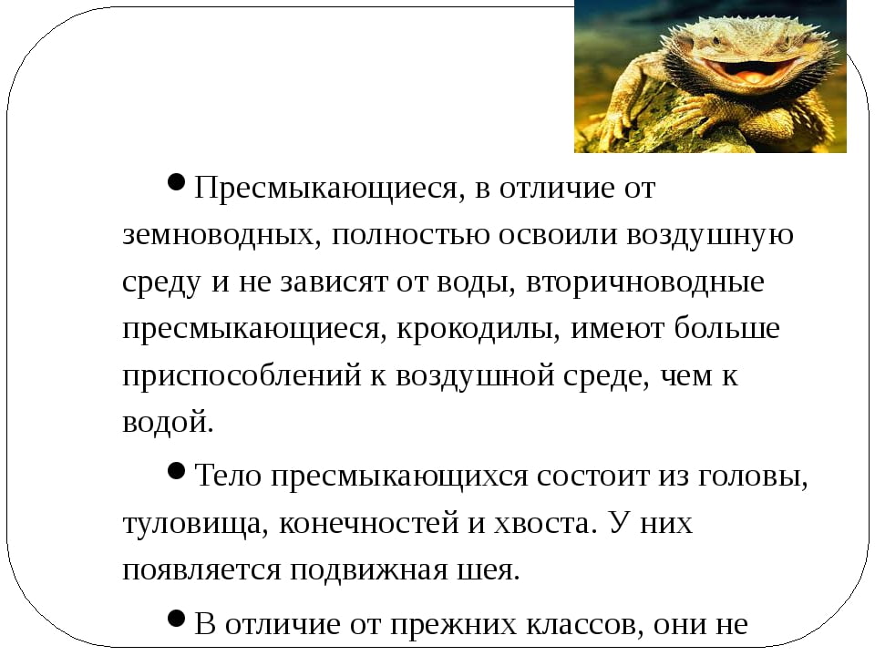 Пресмыкающиеся унаследовали от земноводных. Отличие земноводных от реп. Отличие земноводных от рептилий.