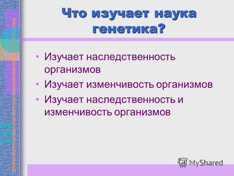 Генетика изучает