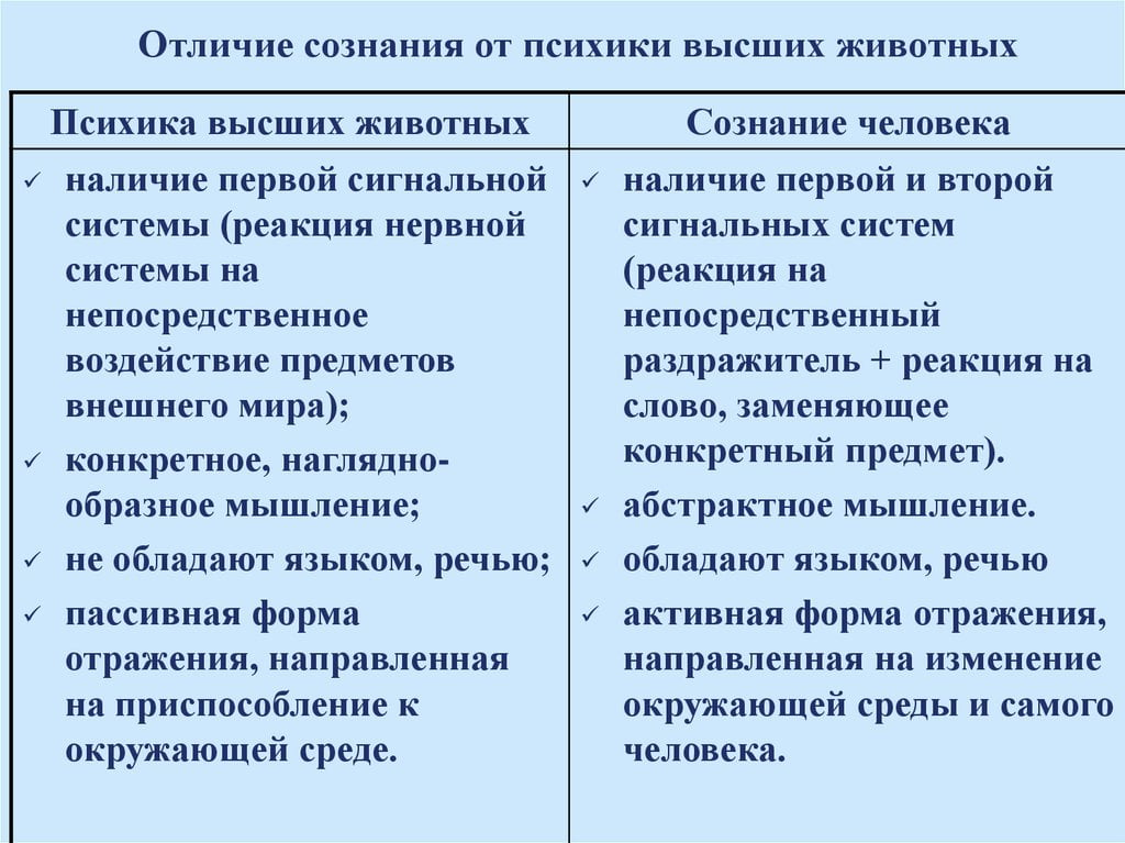 Чем схожи и чем отличаются друг от друга научное исследование и проект