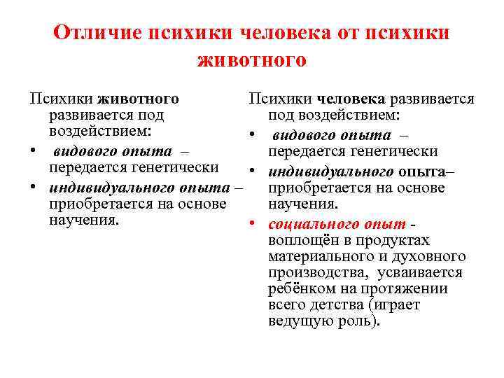 Особенности психики человека. Отличие сознания человека от психики животных. Чем отличается психика человека от психики животных. Отличие развития психики человека от развития психики животных. Основное отличие психики человека от психики животных.